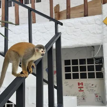 קפוס Mizaru Ocean View Hotel Manuel Antonio מראה חיצוני תמונה