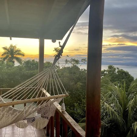 קפוס Mizaru Ocean View Hotel Manuel Antonio מראה חיצוני תמונה