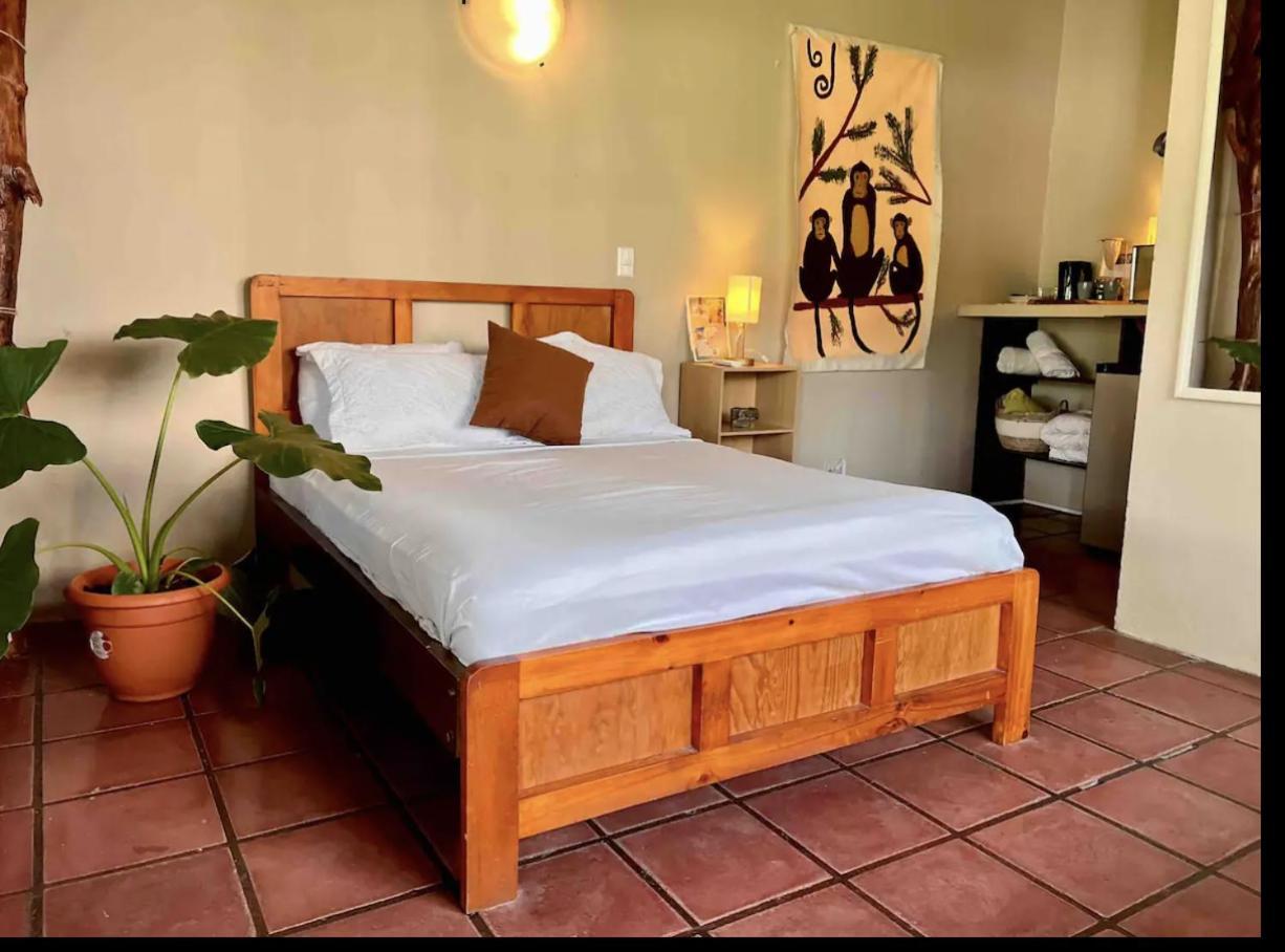 קפוס Mizaru Ocean View Hotel Manuel Antonio מראה חיצוני תמונה