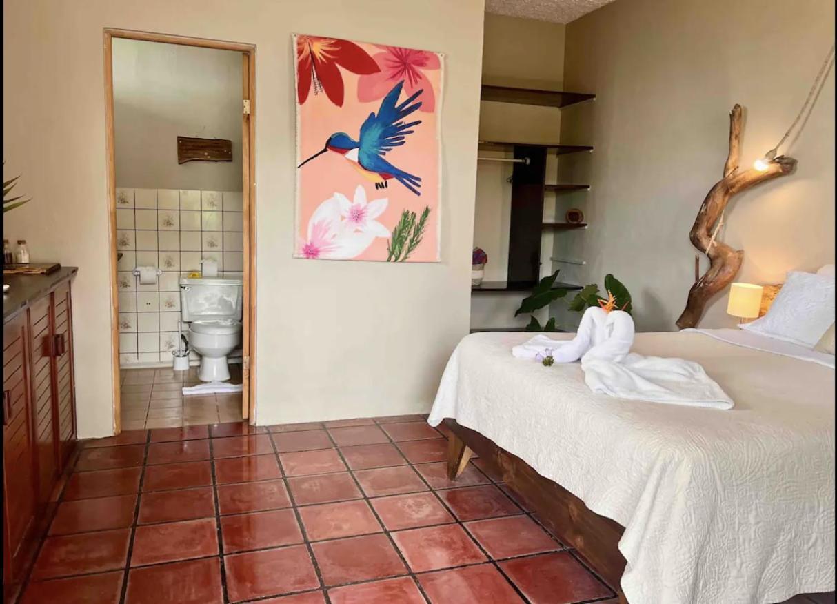 קפוס Mizaru Ocean View Hotel Manuel Antonio מראה חיצוני תמונה