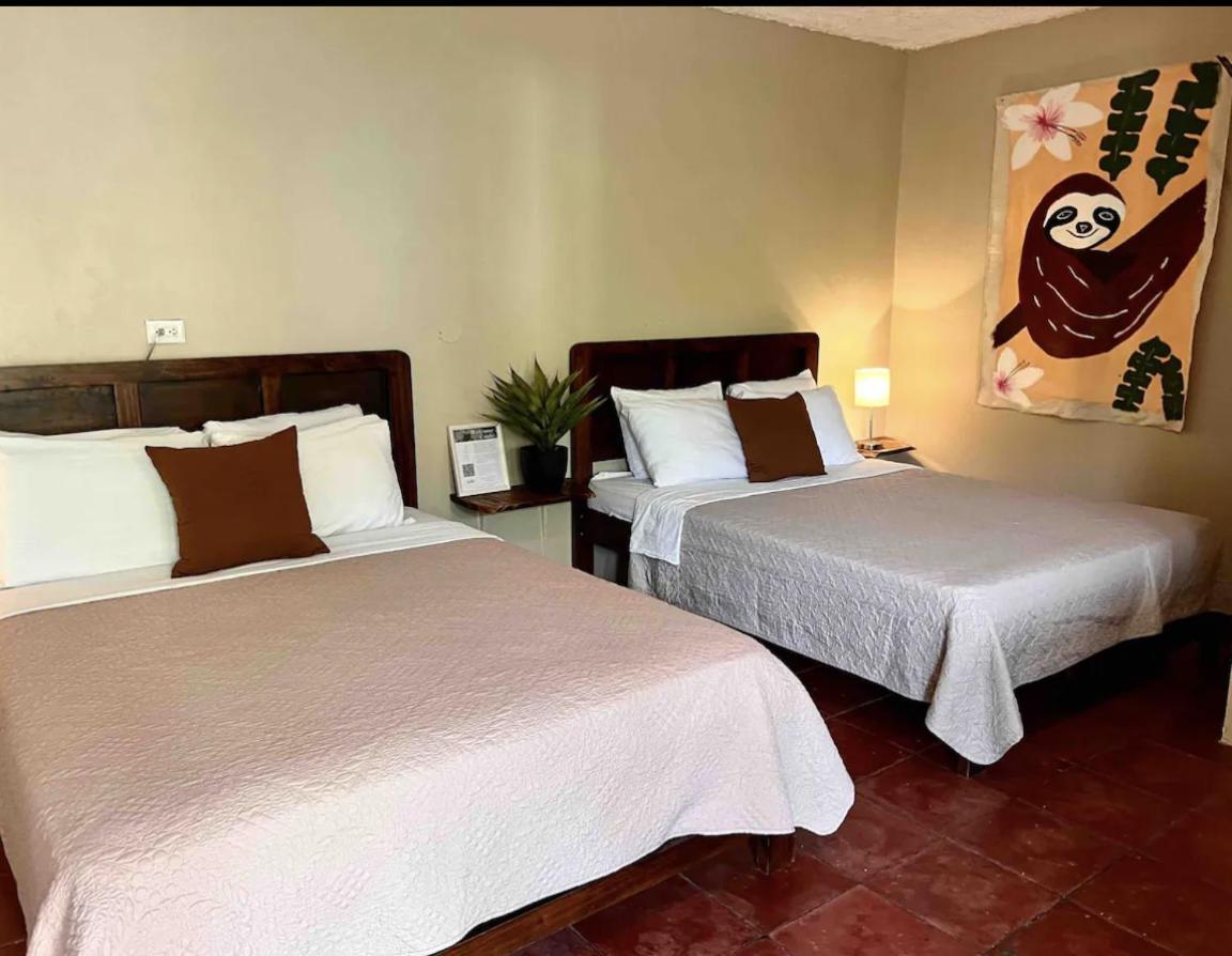 קפוס Mizaru Ocean View Hotel Manuel Antonio מראה חיצוני תמונה