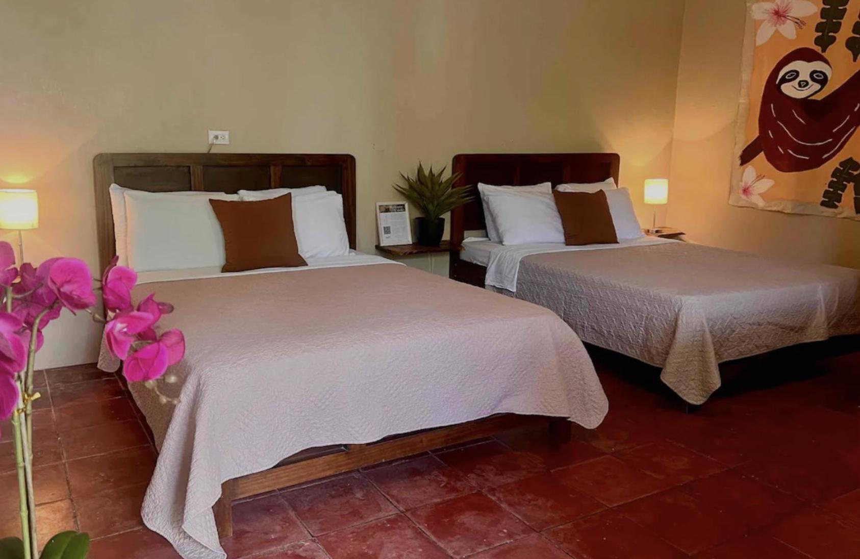 קפוס Mizaru Ocean View Hotel Manuel Antonio מראה חיצוני תמונה