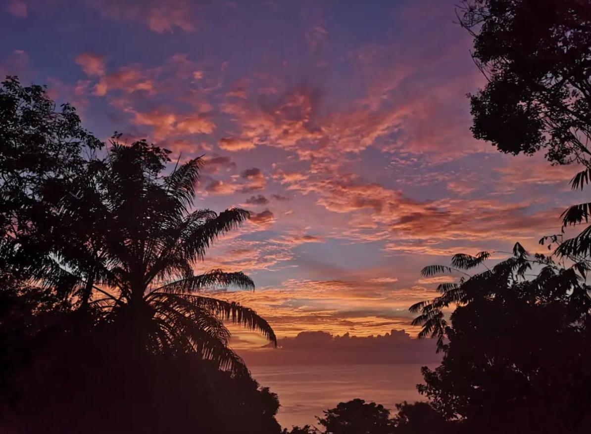 קפוס Mizaru Ocean View Hotel Manuel Antonio מראה חיצוני תמונה